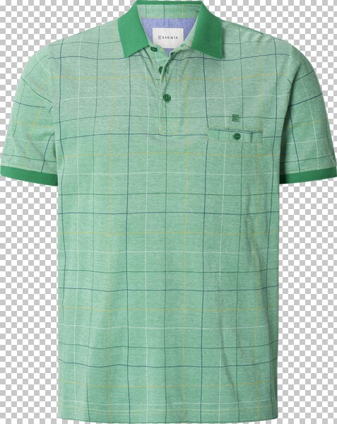 Poloshirt ERANDIR grün