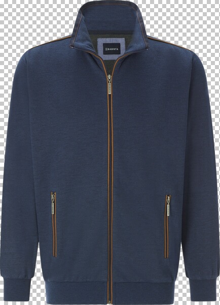 Sweatjacke DEOLEZZI blau