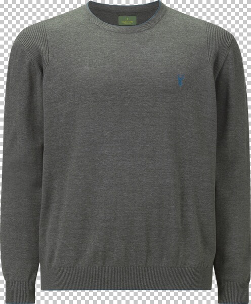 Pullover EARL ARCHIE grau