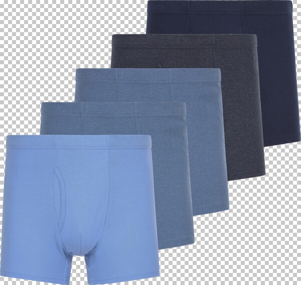 5er Pack Retropants GARDAR blau