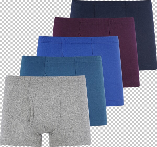 5er Pack Retropants GARDAR blau