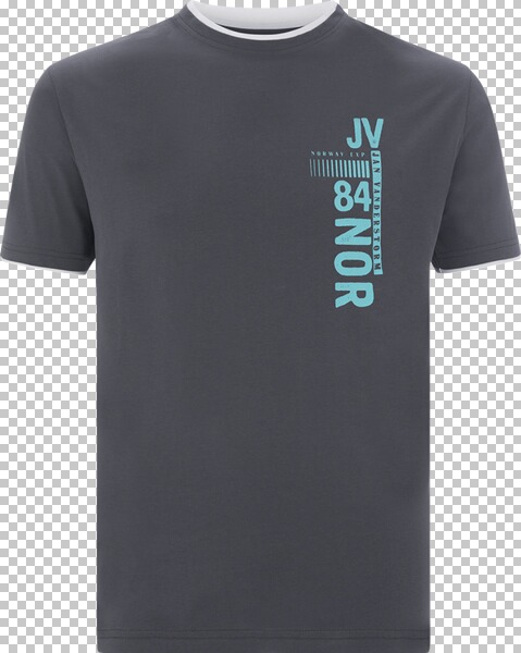 T-Shirt FLEMMING dunkelgrau